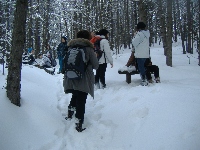 dscf4652.jpg