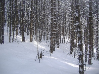 dscf4658.jpg