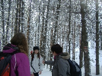dscf4662.jpg