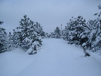 dscf4667.jpg