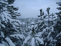dscf4675.jpg