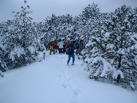dscf4677.jpg