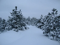 dscf4678.jpg