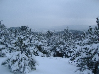dscf4679.jpg