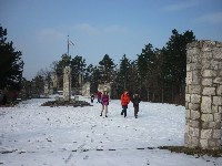p1180947.jpg