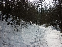 p1180953.jpg
