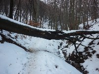 p1190020.jpg