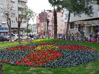 p1020241.jpg