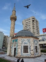 p1020309.jpg