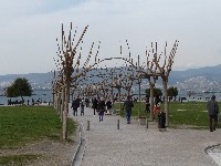 p1020326.jpg