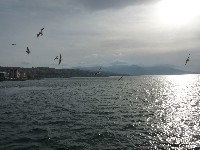 p1020333.jpg