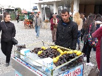 p1020348.jpg