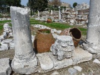 p1020415.jpg