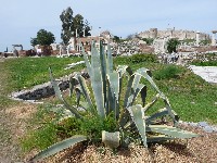 p1020436.jpg