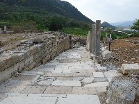 p1020507.jpg