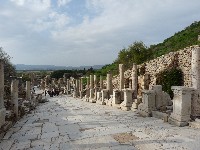 p1020524.jpg