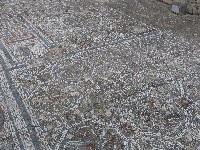 p1020537.jpg