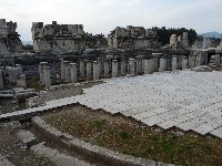 p1020565.jpg