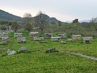 p1020578.jpg