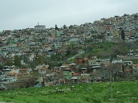 p1020607.jpg