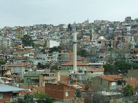 p1020608.jpg