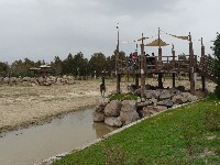 p1020611.jpg