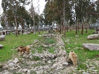 p1020615.jpg