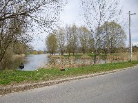 p1000468.jpg