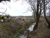 p1000477.jpg