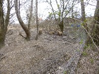 p1000478.jpg