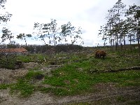p1000485.jpg