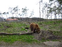 p1000486.jpg