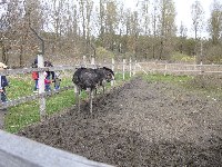 p1000492.jpg