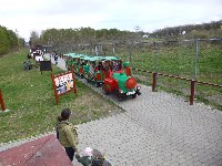 p1000503.jpg