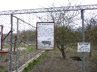 p1000514.jpg
