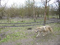 p1000519.jpg