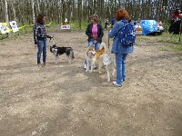 p1000538.jpg