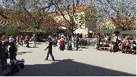 dscf7136.jpg