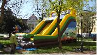 dscf7181.jpg