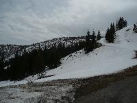 p1170956.jpg