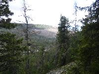 185.jpg