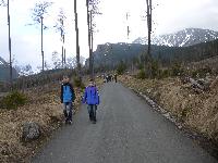 273.jpg