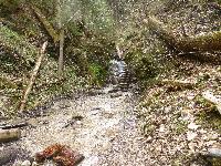 p1020006.jpg