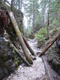 p1020080.jpg