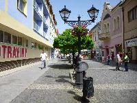 p1020293.jpg