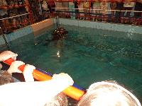 dsc02217.jpg