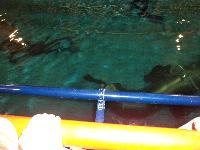 dsc02218.jpg
