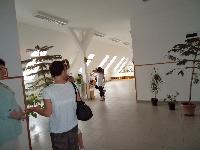 dsc02267.jpg