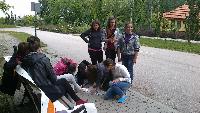 2013_05_24_597.jpg