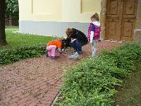 p1260501.jpg
